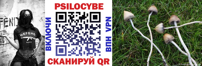 darknet состав  Лысково  Псилоцибиновые грибы Cubensis 